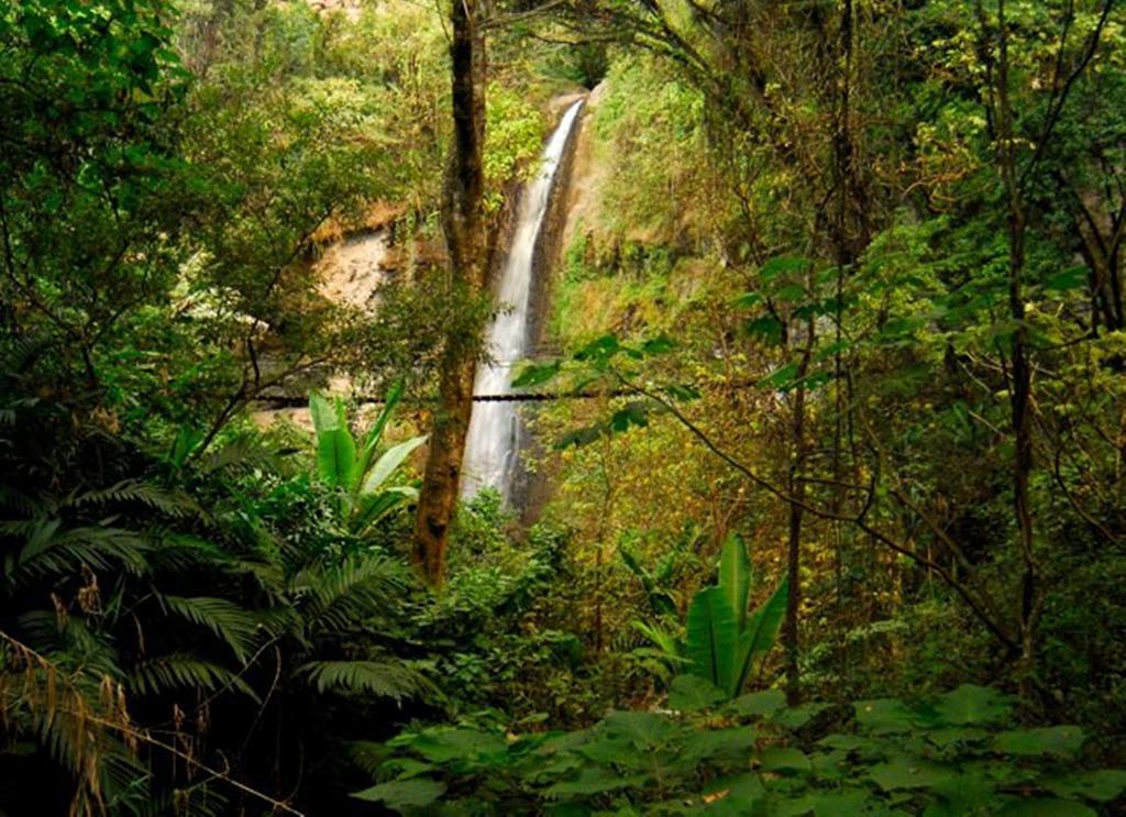 Reserva Natural Atitlan Panajachel Luaran gambar