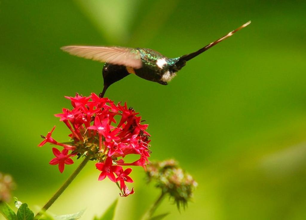 Reserva Natural Atitlan Panajachel Luaran gambar